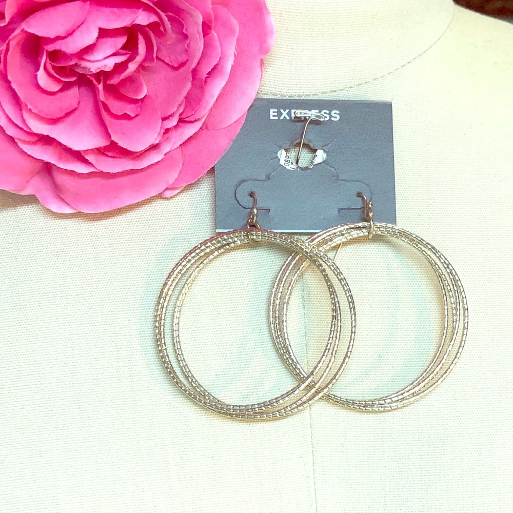 Express Multi hoop earring